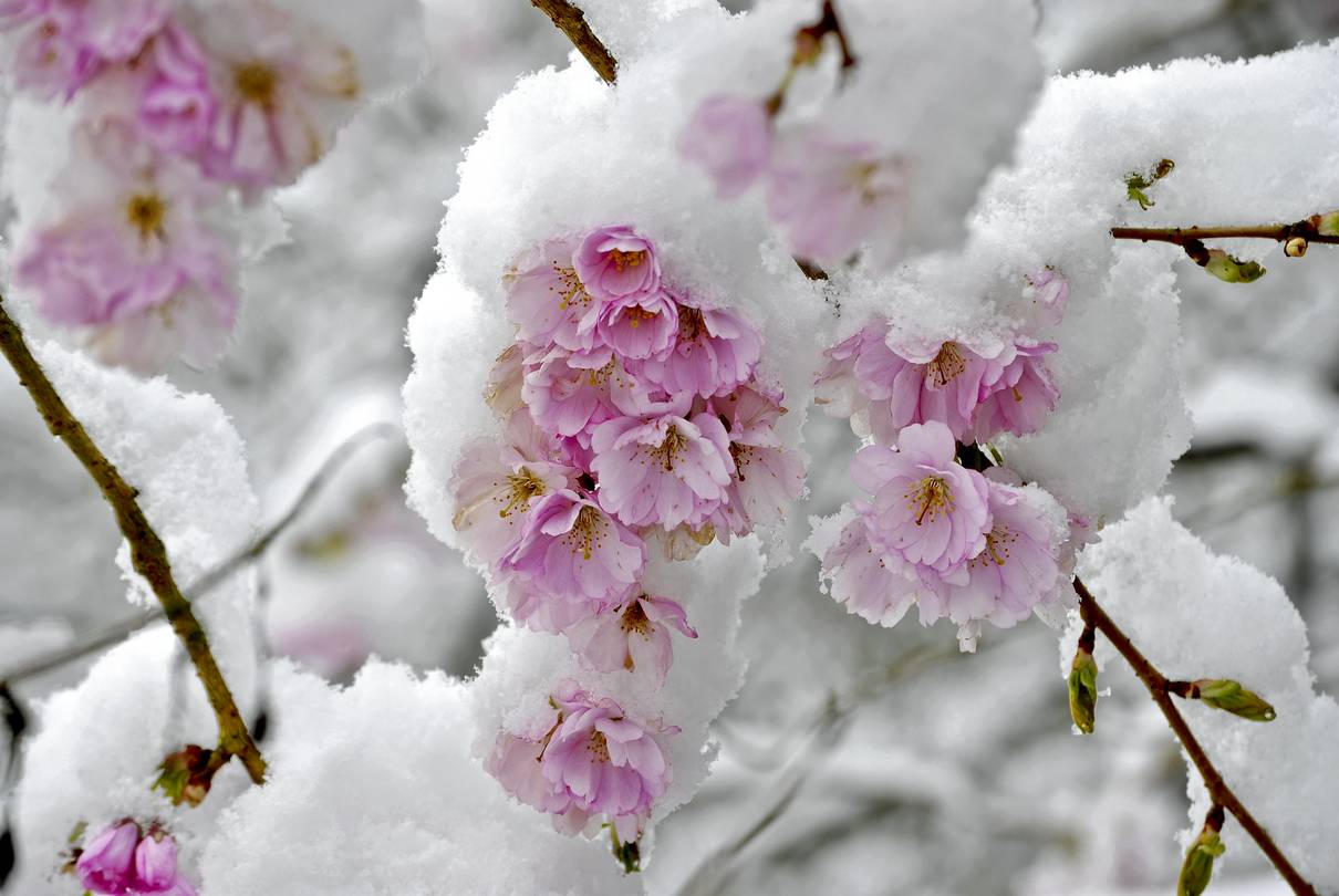 Dans le parc des retraitants Dans le parc des retraitants
